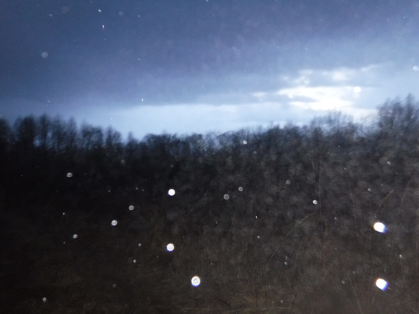DSCF7850.JPG