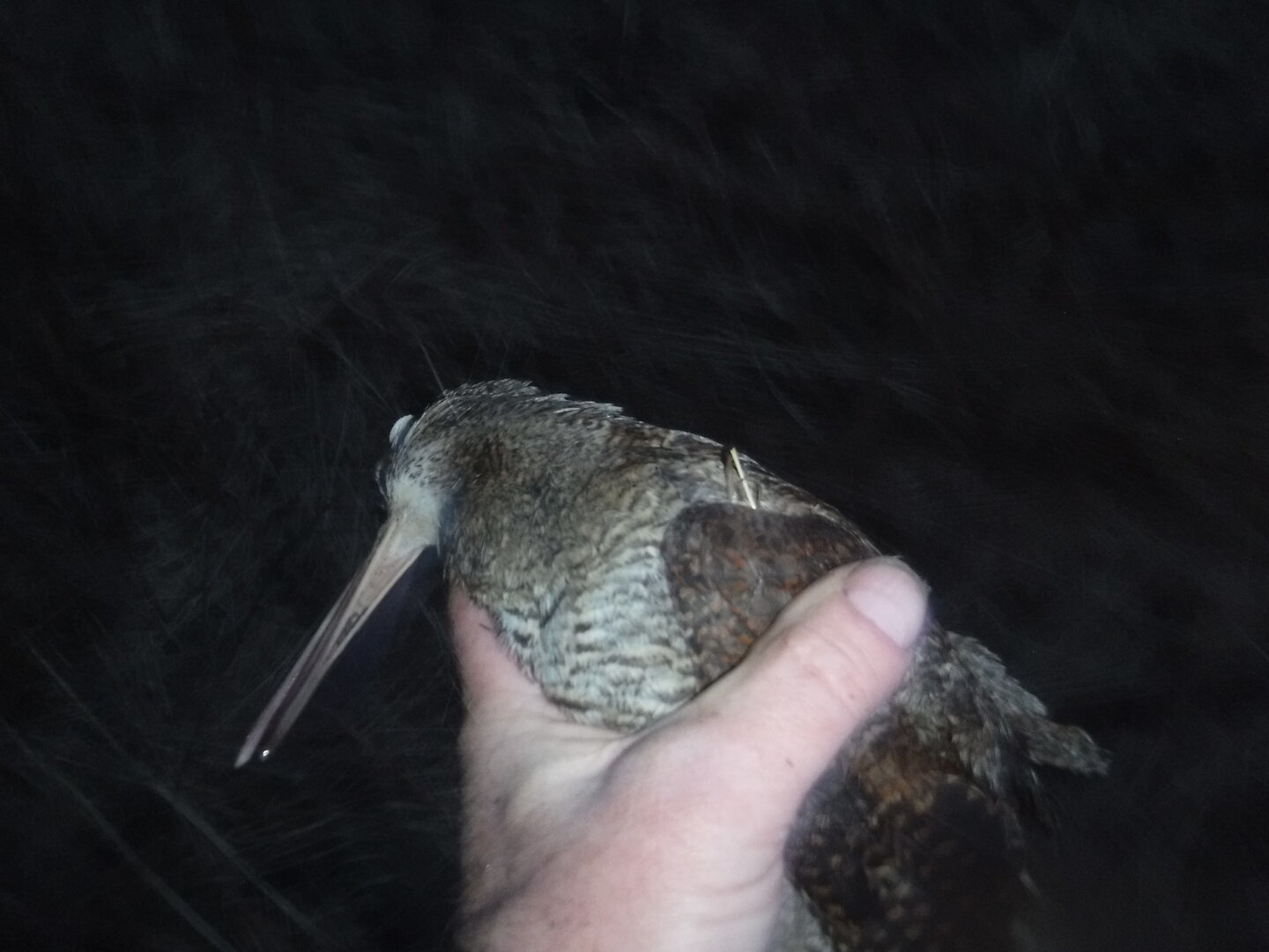 DSCF7851.JPG