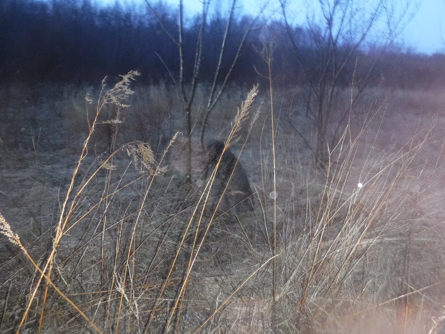 DSCF7852.JPG