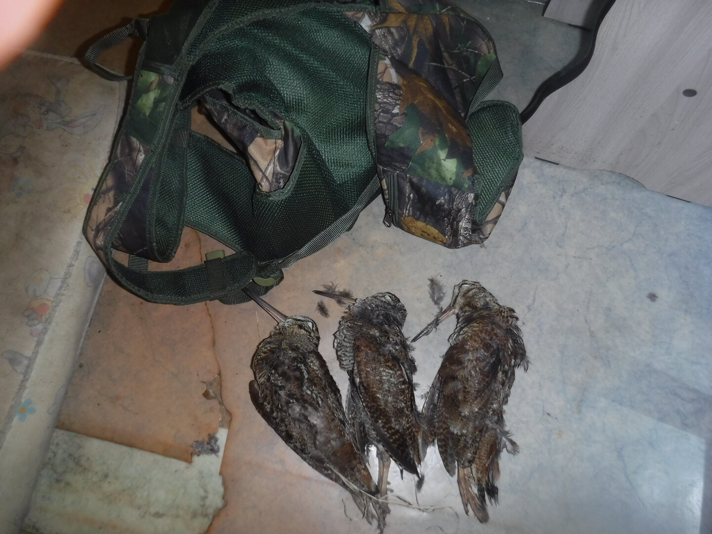 DSCF7854.JPG