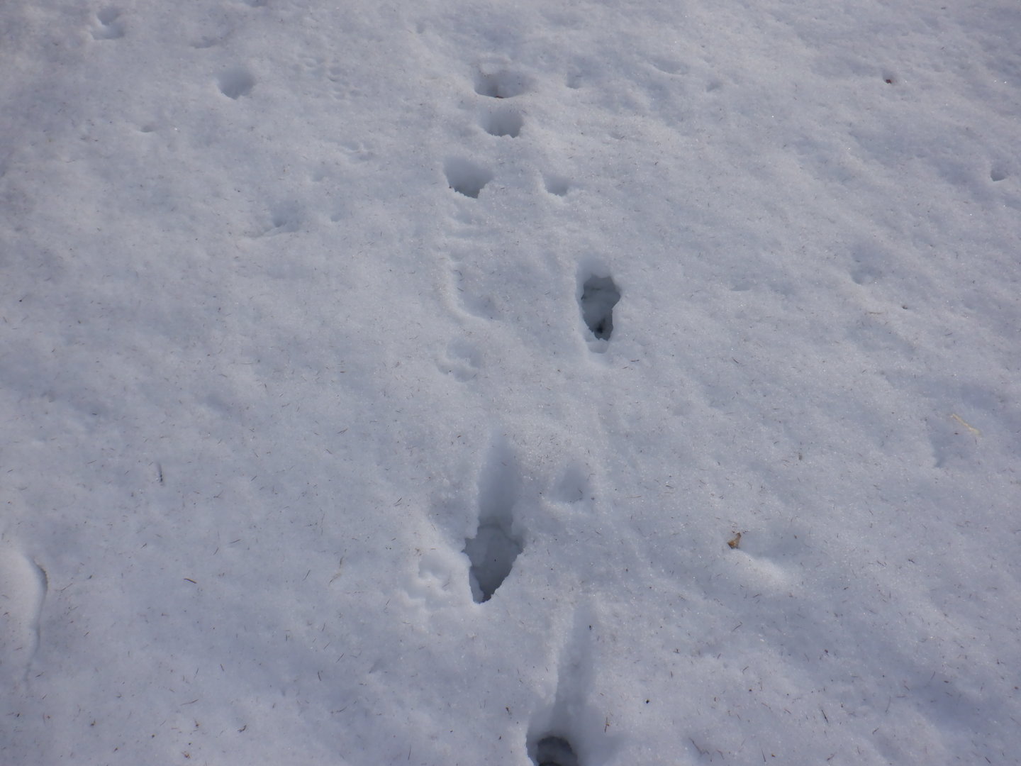 DSCF7858.JPG