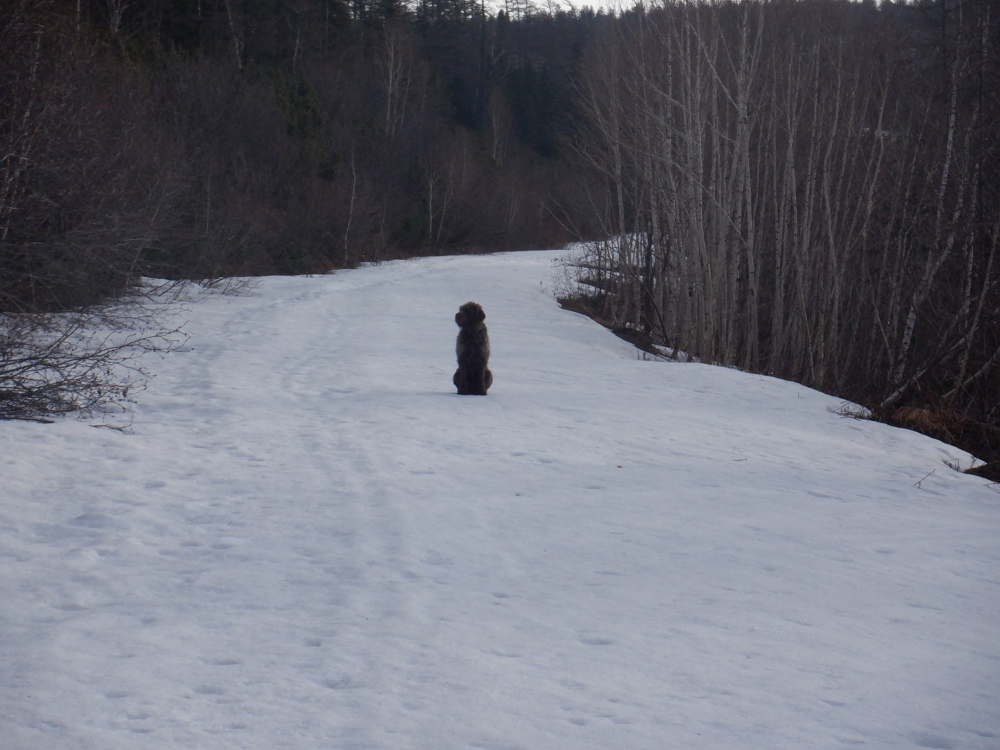 DSCF7859.JPG