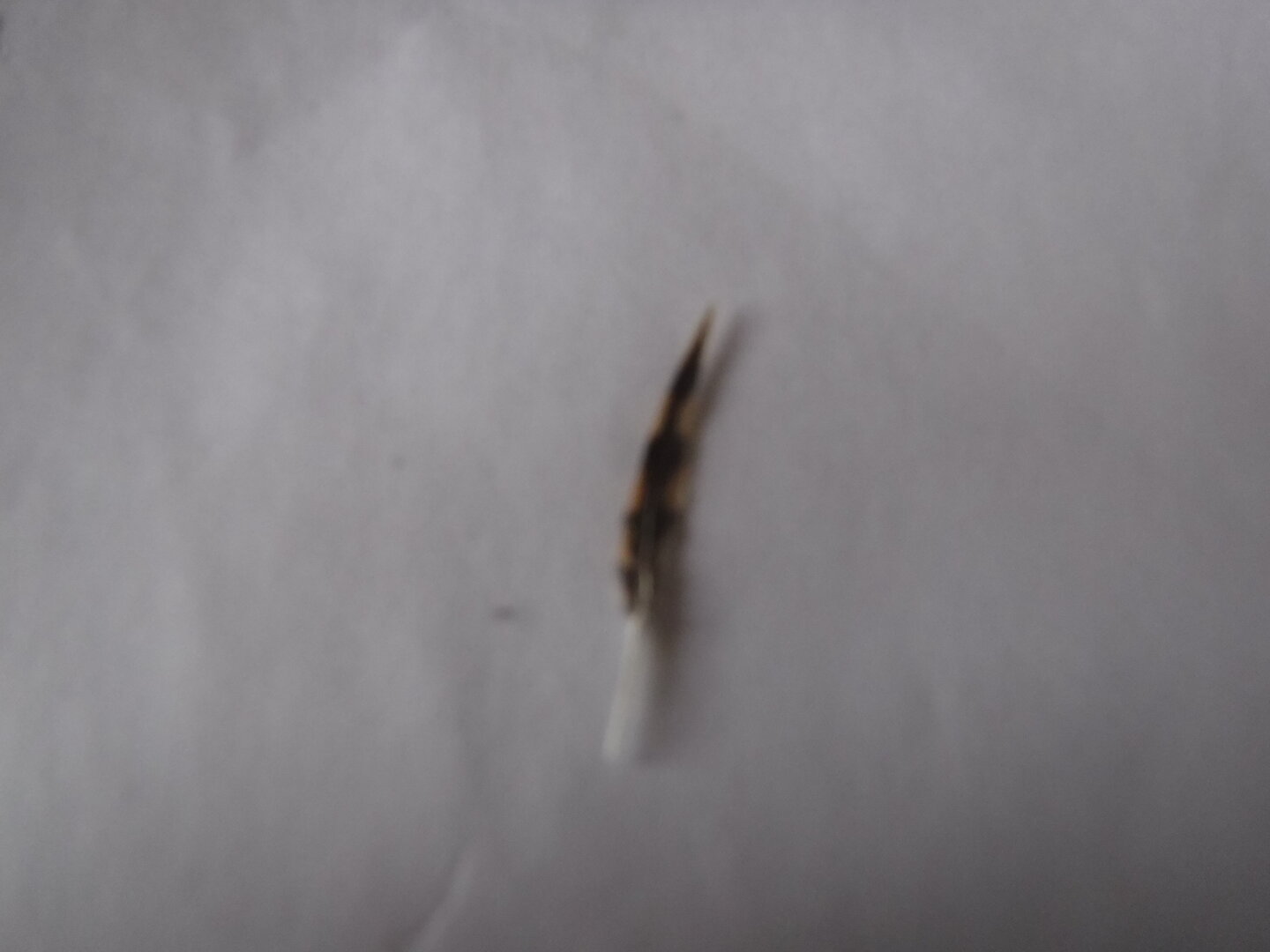 DSCF7859.JPG