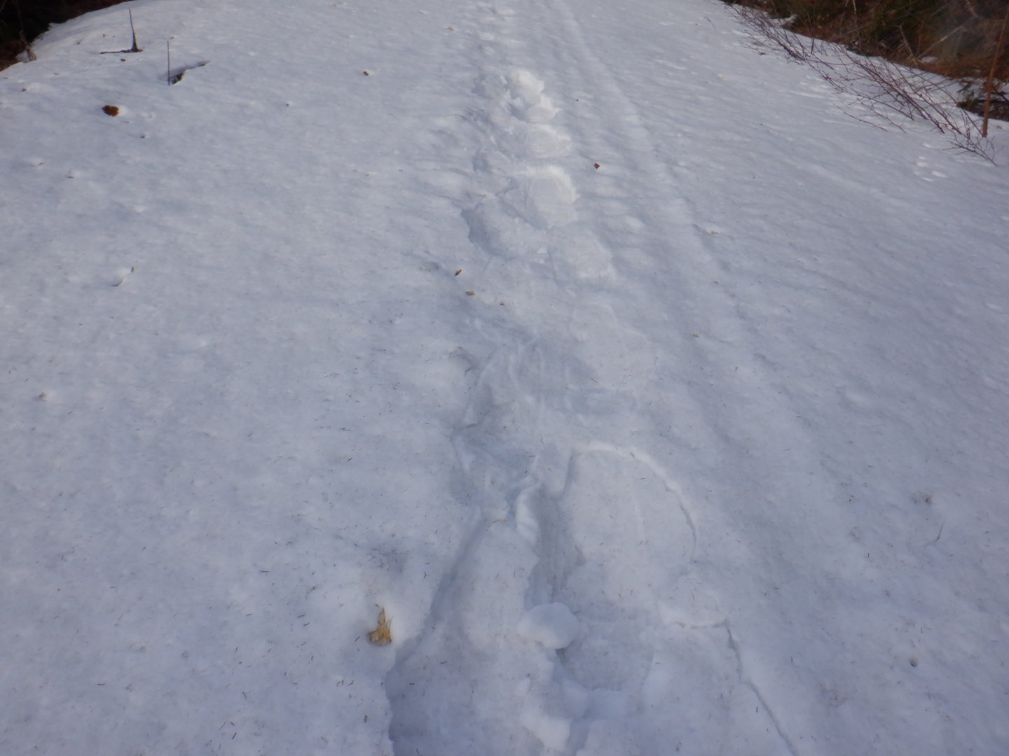DSCF7860.JPG