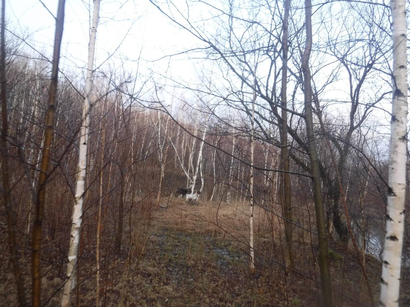 DSCF7861.JPG