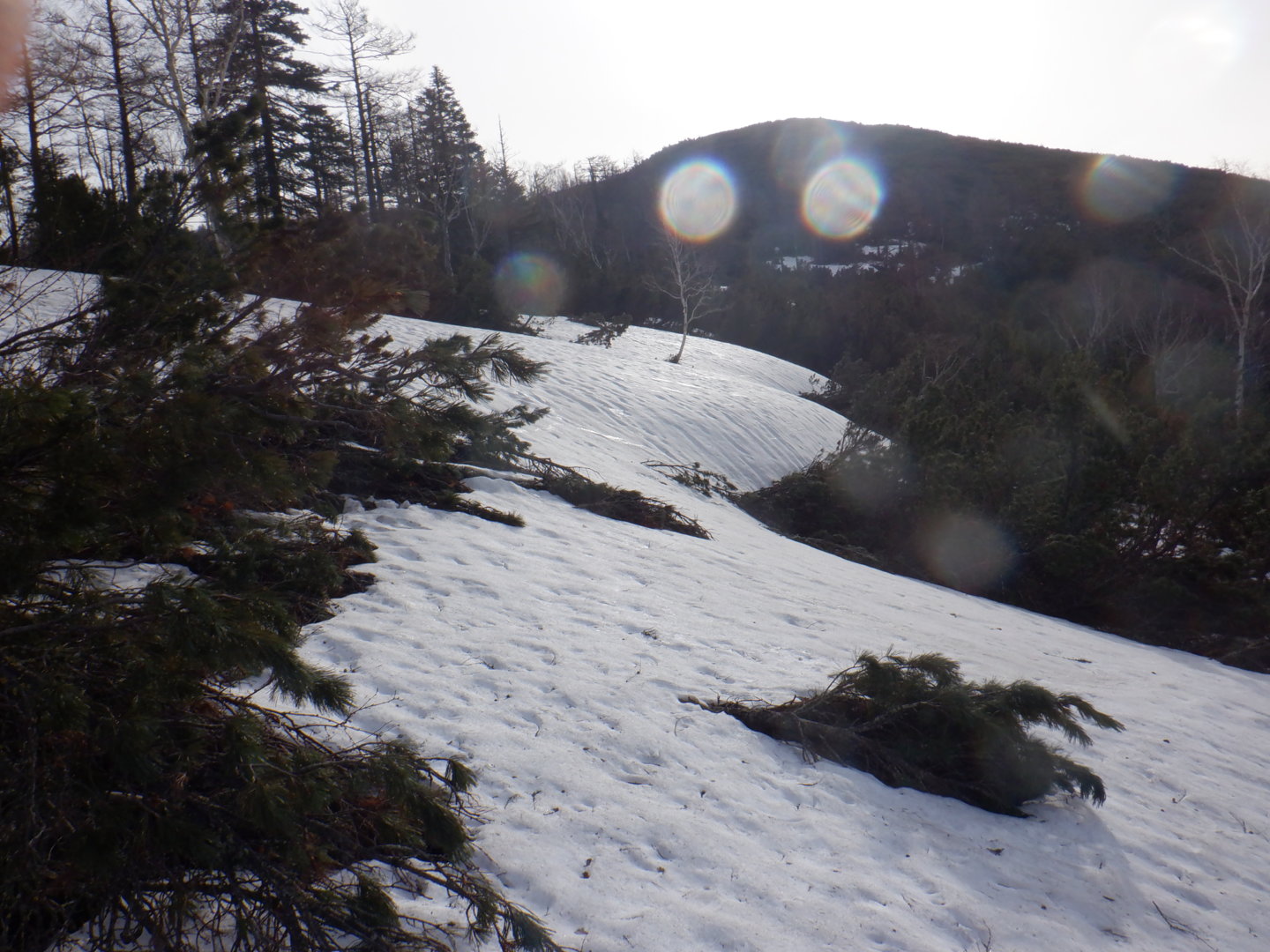 DSCF7862.JPG