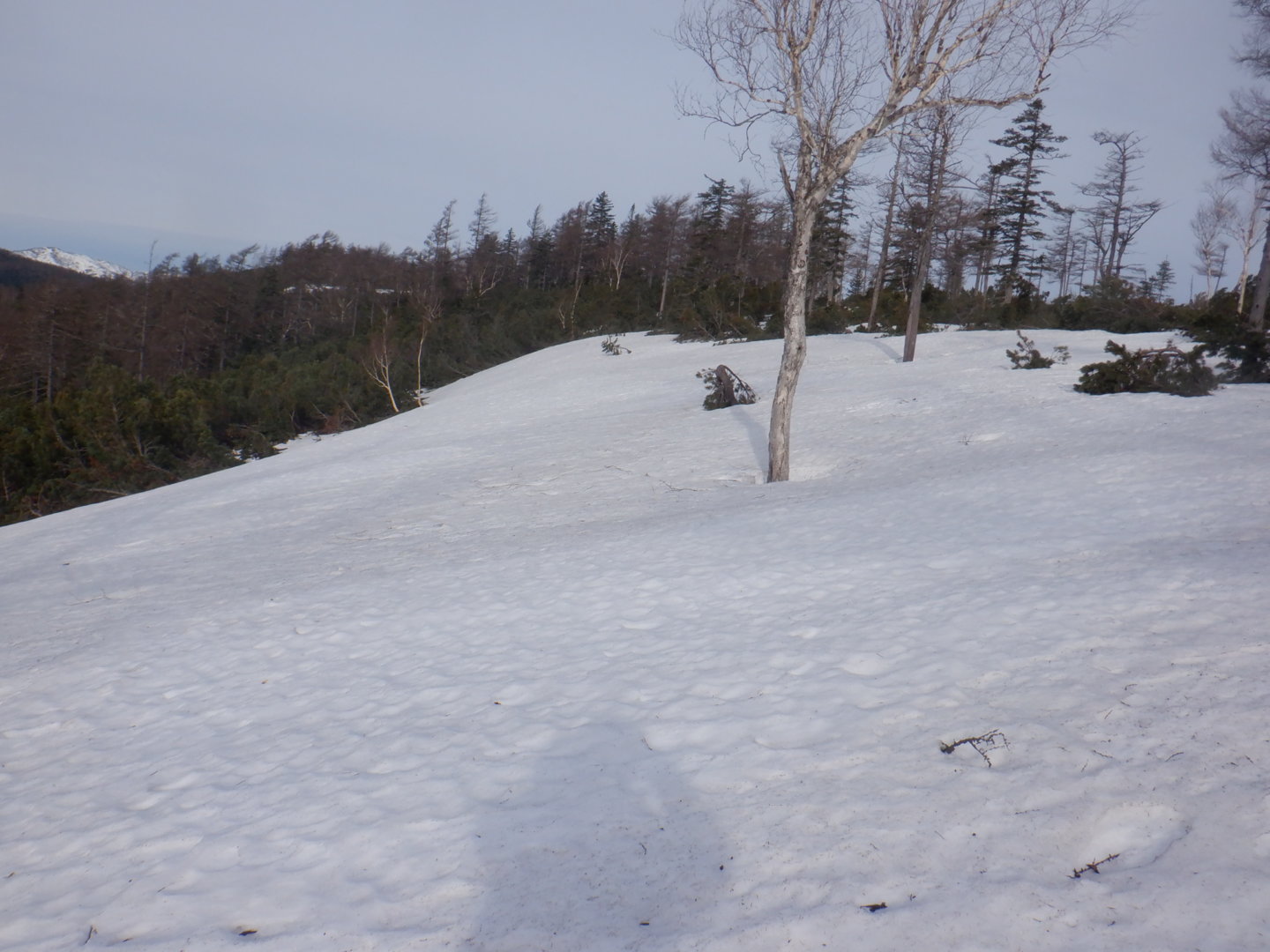 DSCF7863.JPG