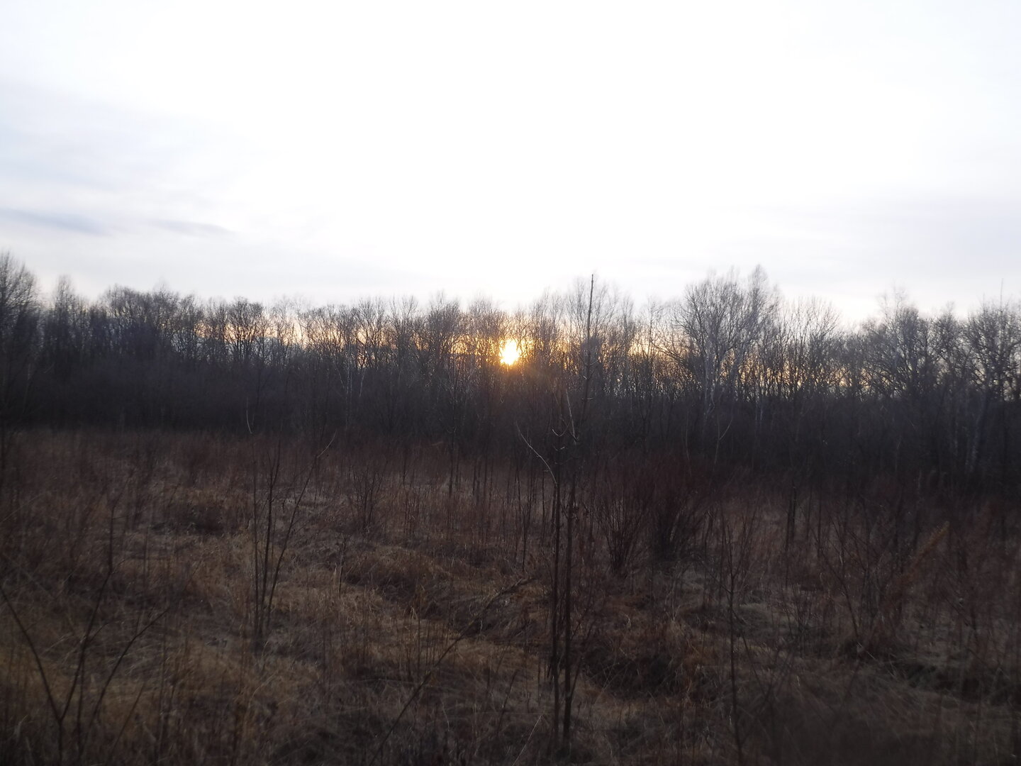 DSCF7863.JPG