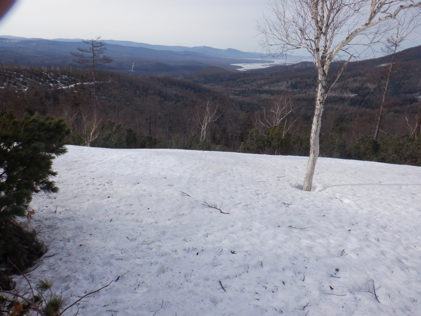 DSCF7868.JPG