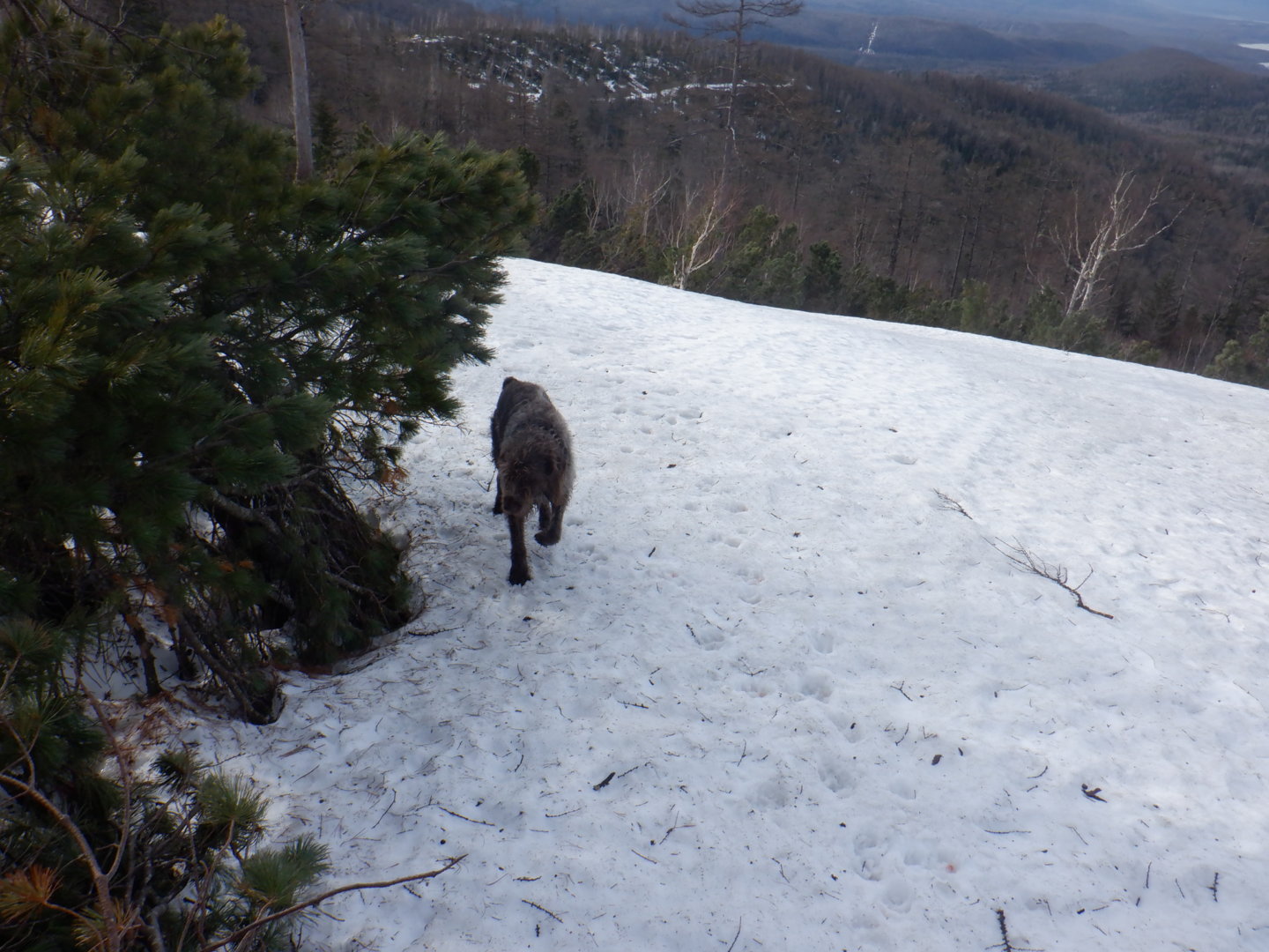 DSCF7870.JPG