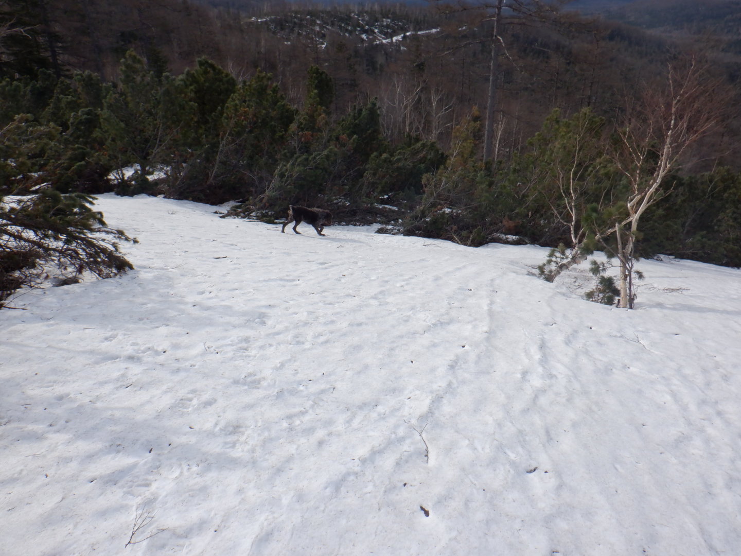 DSCF7874.JPG