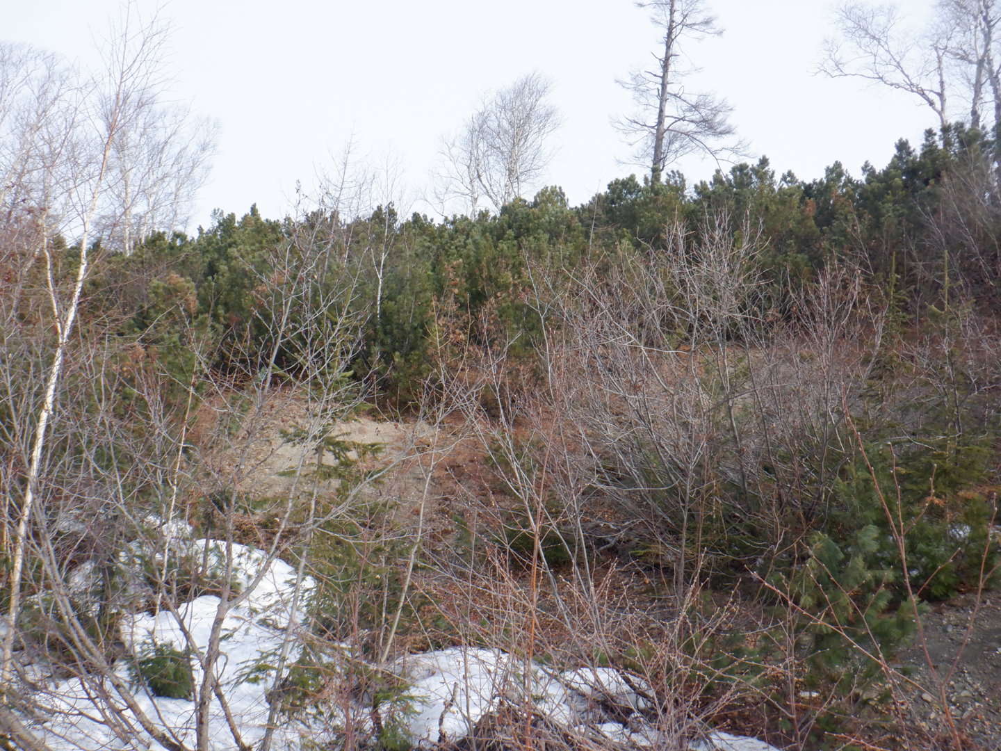 DSCF7876.JPG