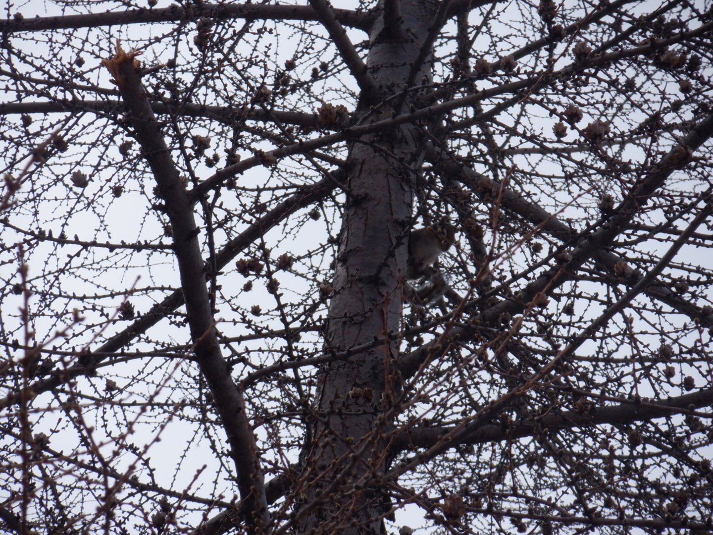 DSCF7879.JPG