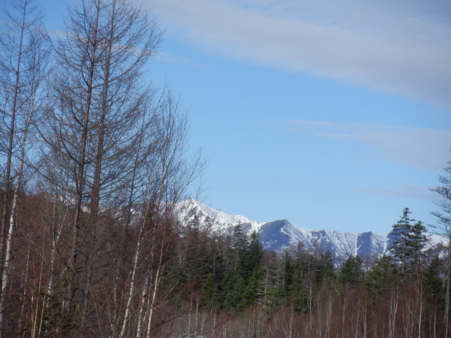 DSCF7886.JPG