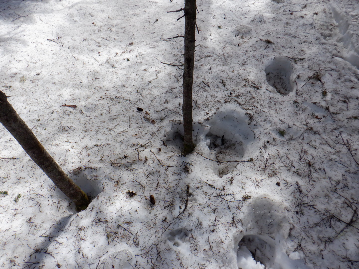 DSCF7890.JPG