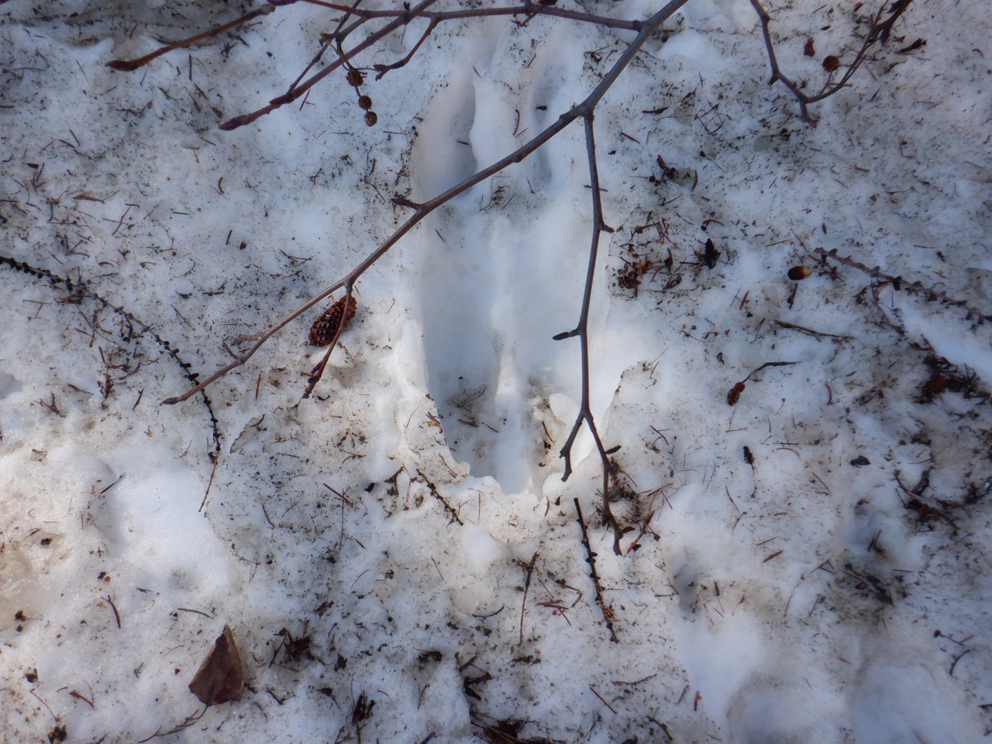 DSCF7891.JPG