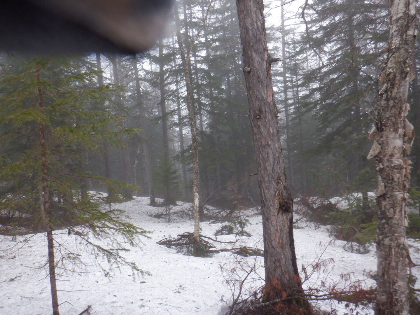 DSCF7897.JPG
