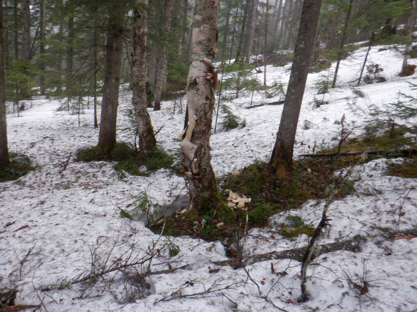 DSCF7900.JPG