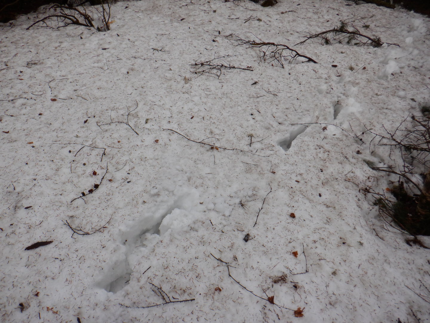 DSCF7902.JPG