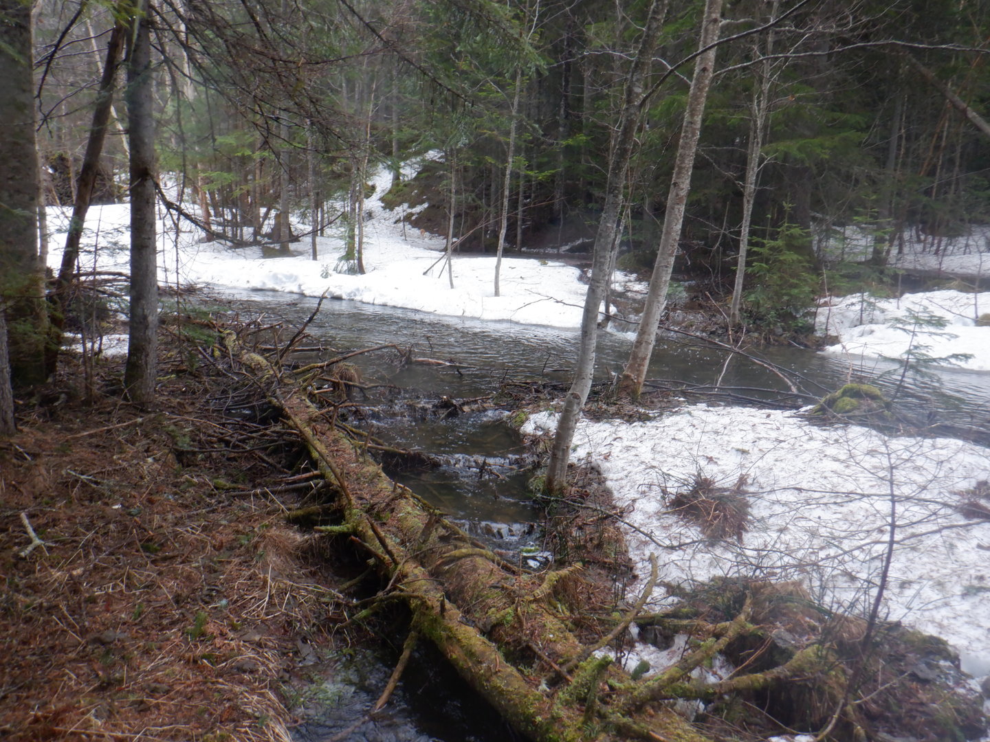 DSCF7921.JPG