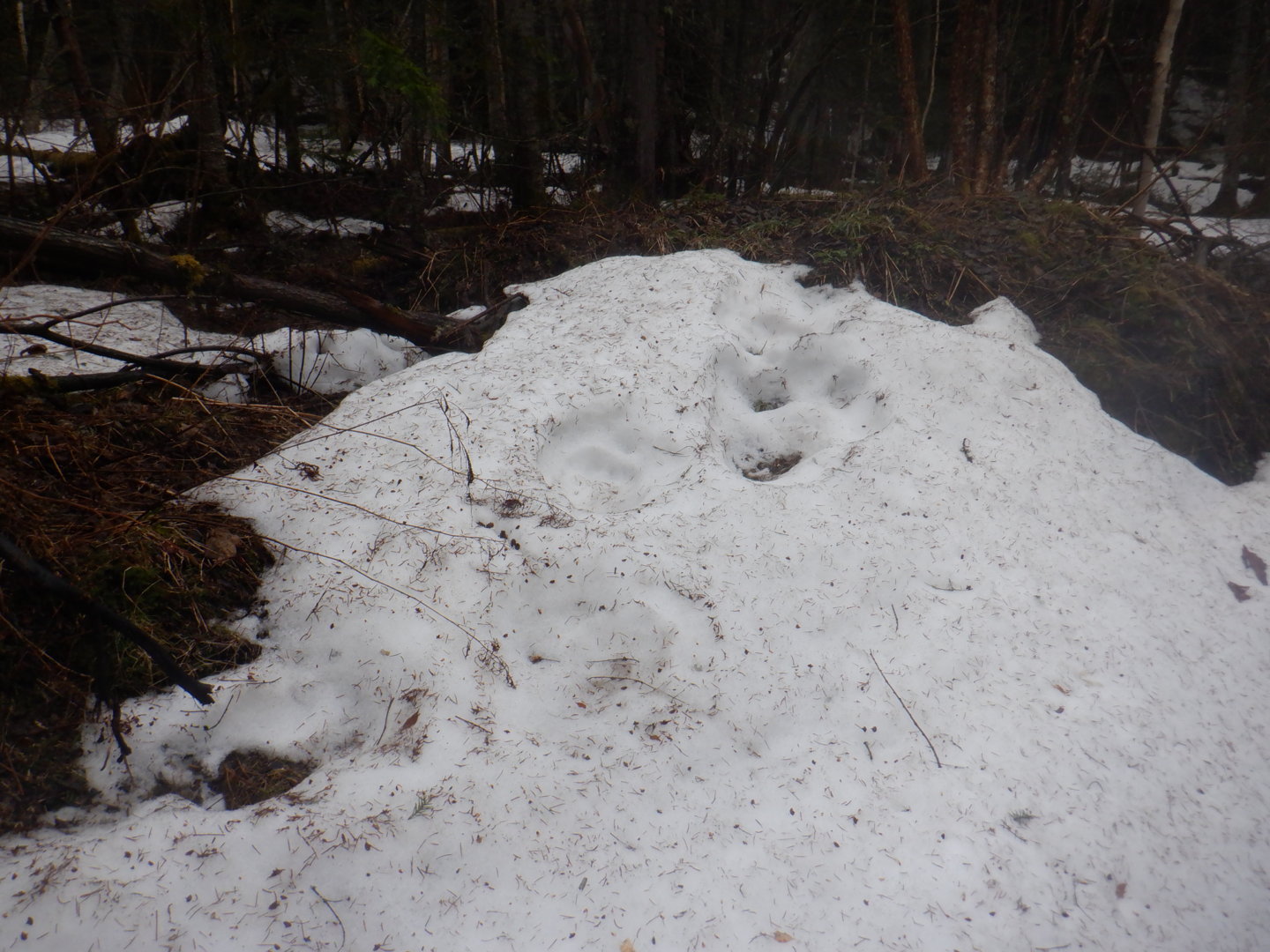 DSCF7922.JPG