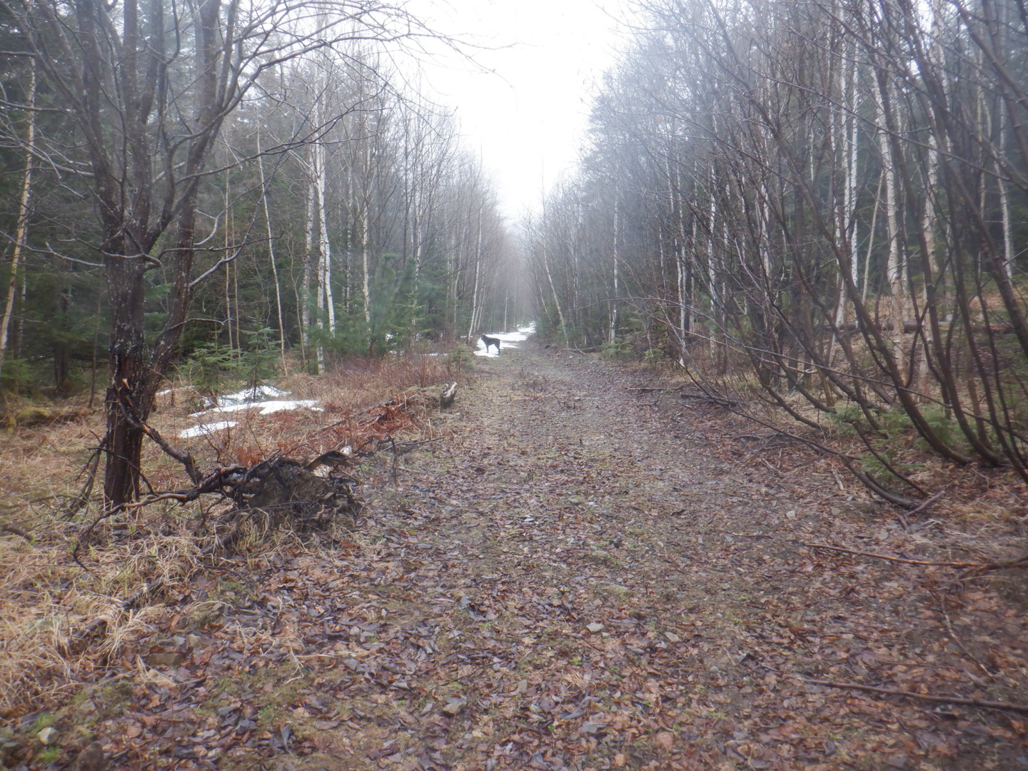 DSCF7923.JPG