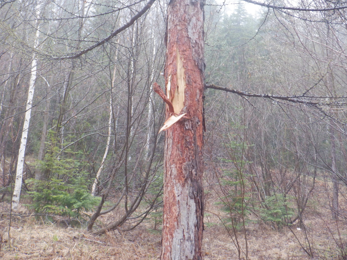 DSCF7928.JPG