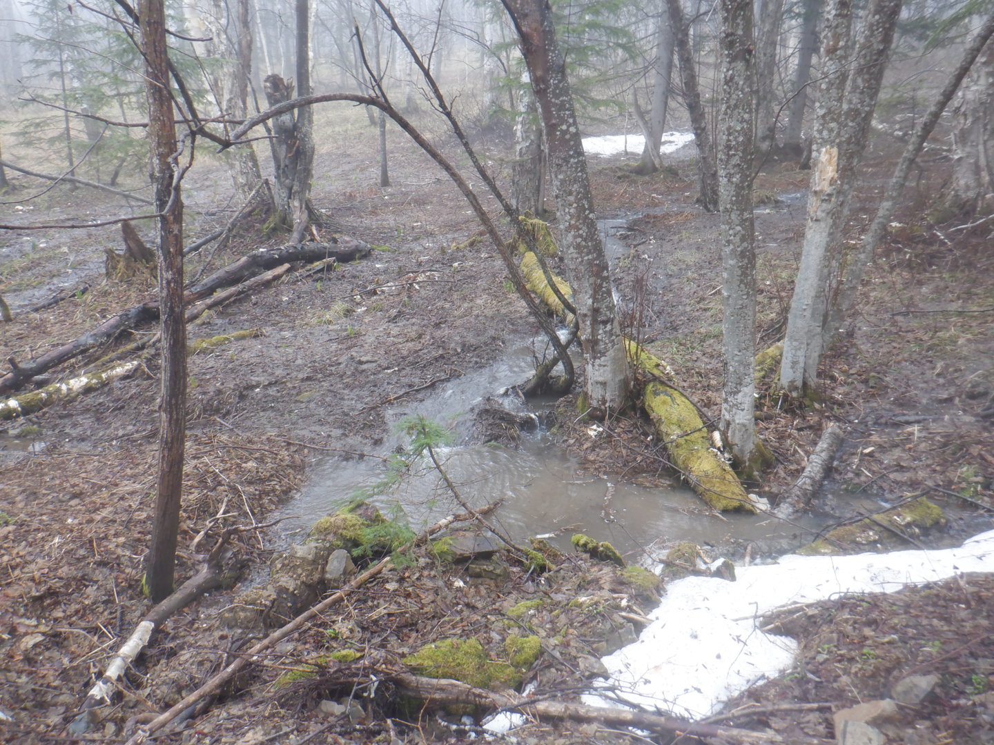 DSCF7932.JPG