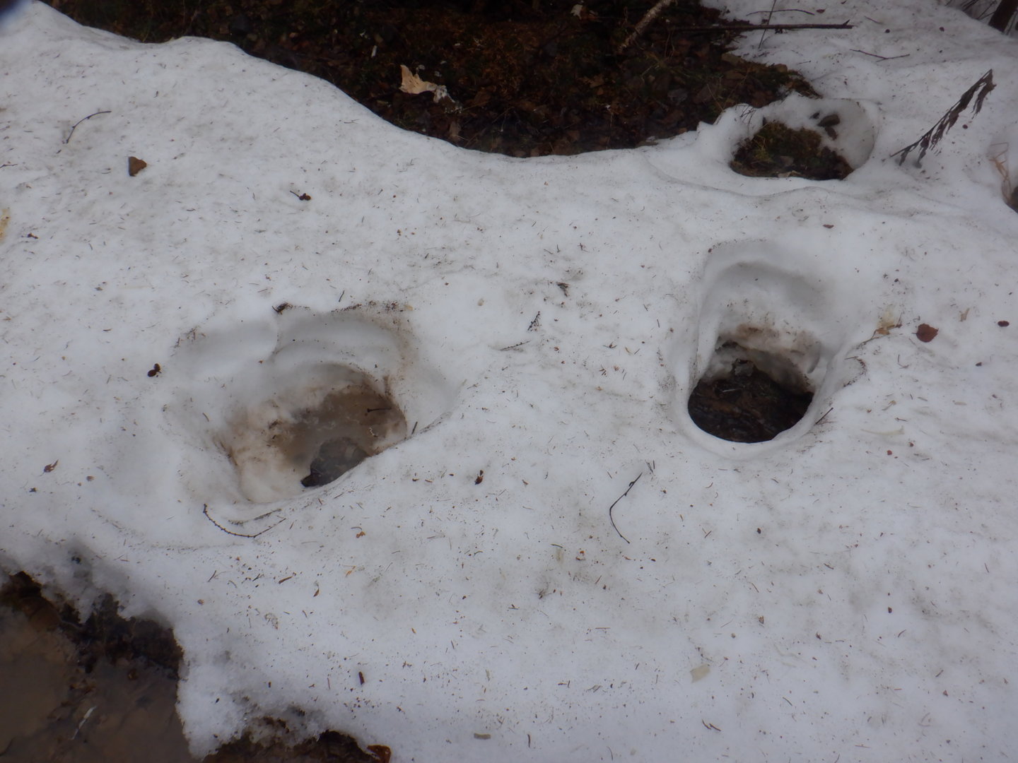 DSCF7933.JPG