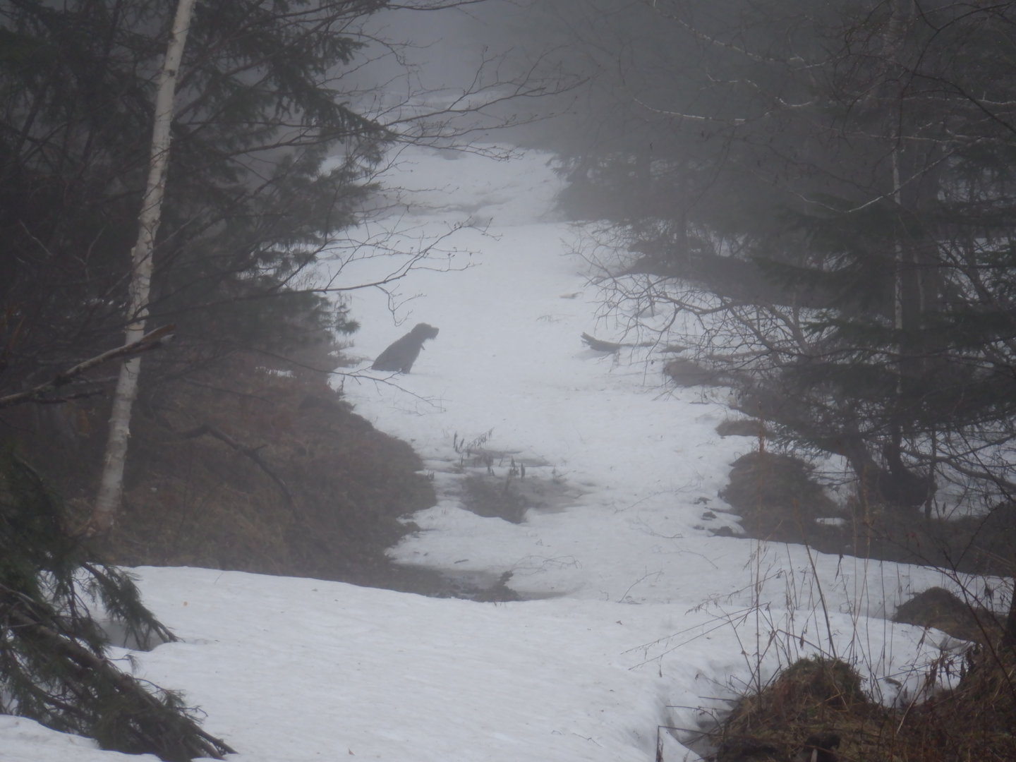 DSCF7935.JPG