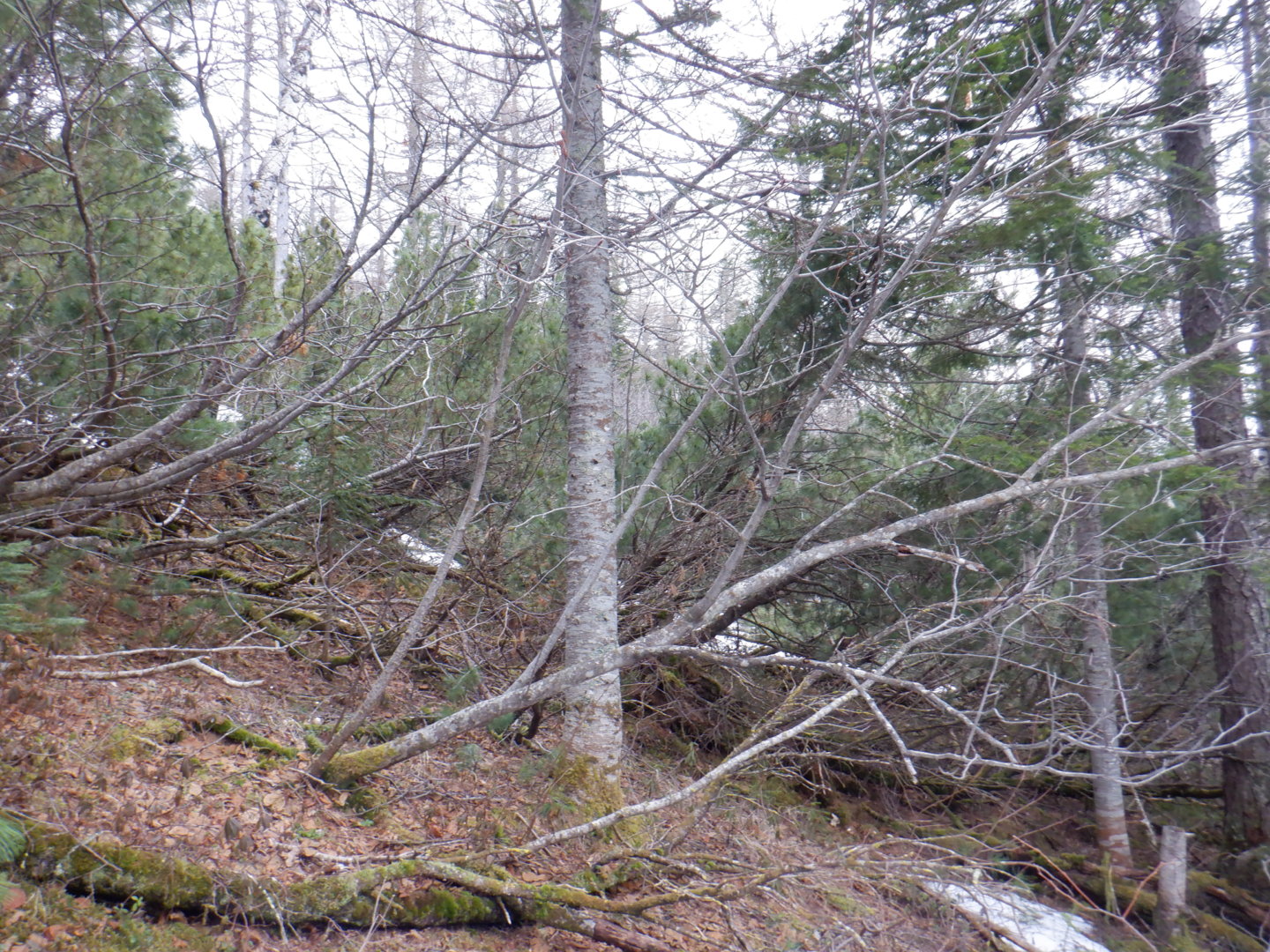 DSCF7943.JPG