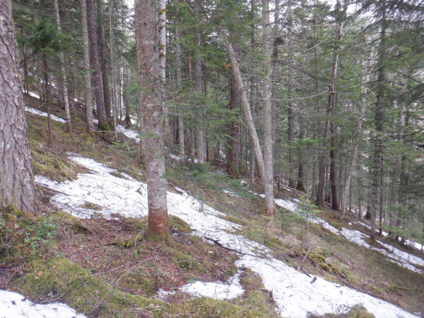 DSCF7944.JPG