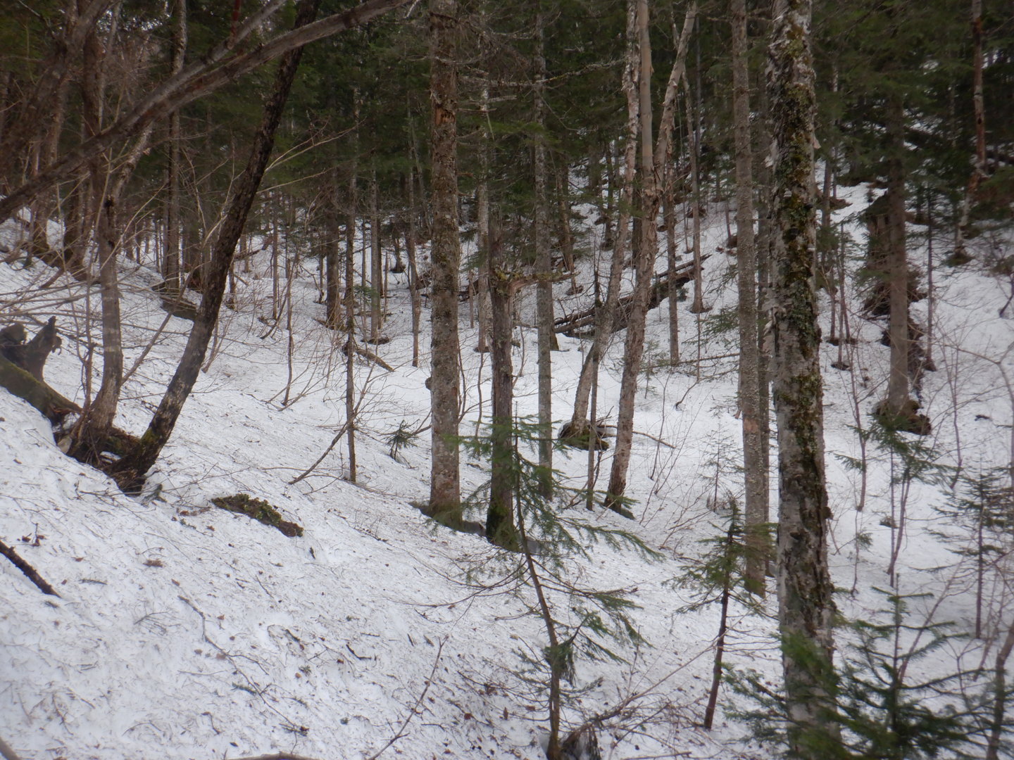 DSCF7945.JPG