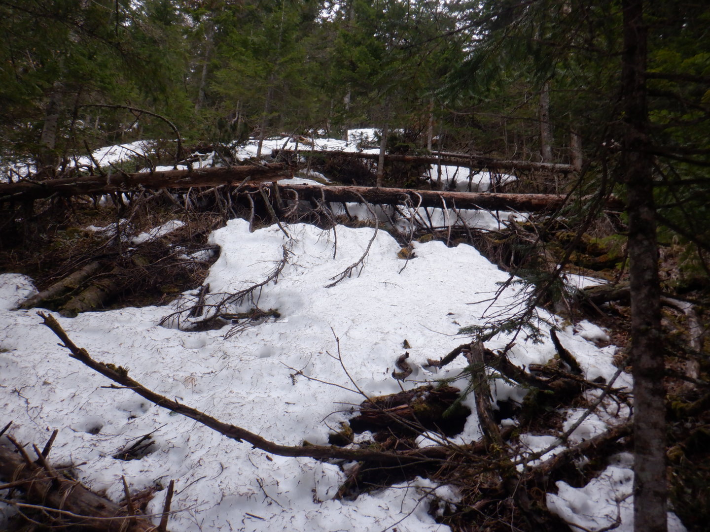 DSCF7946.JPG