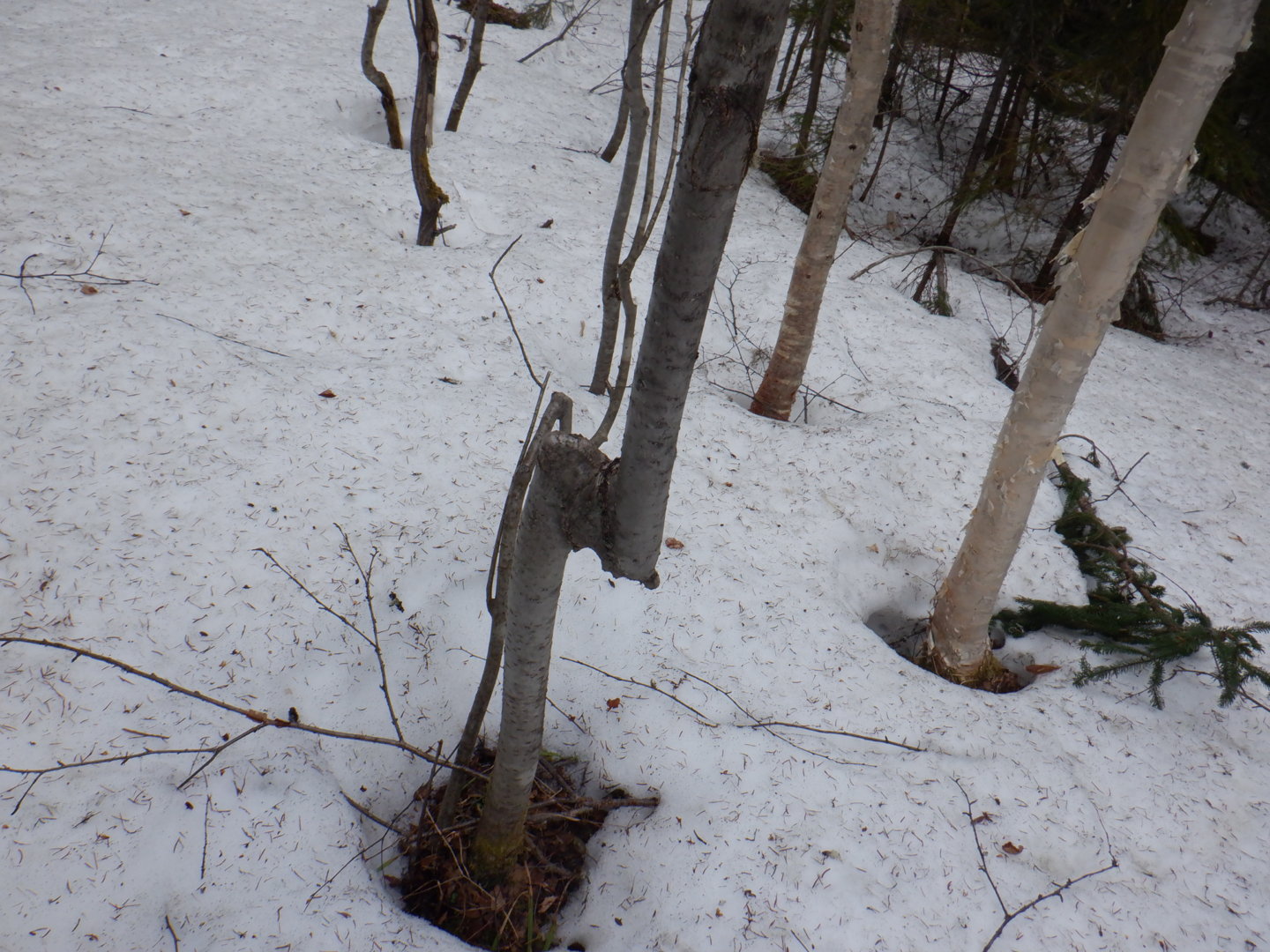 DSCF7947.JPG