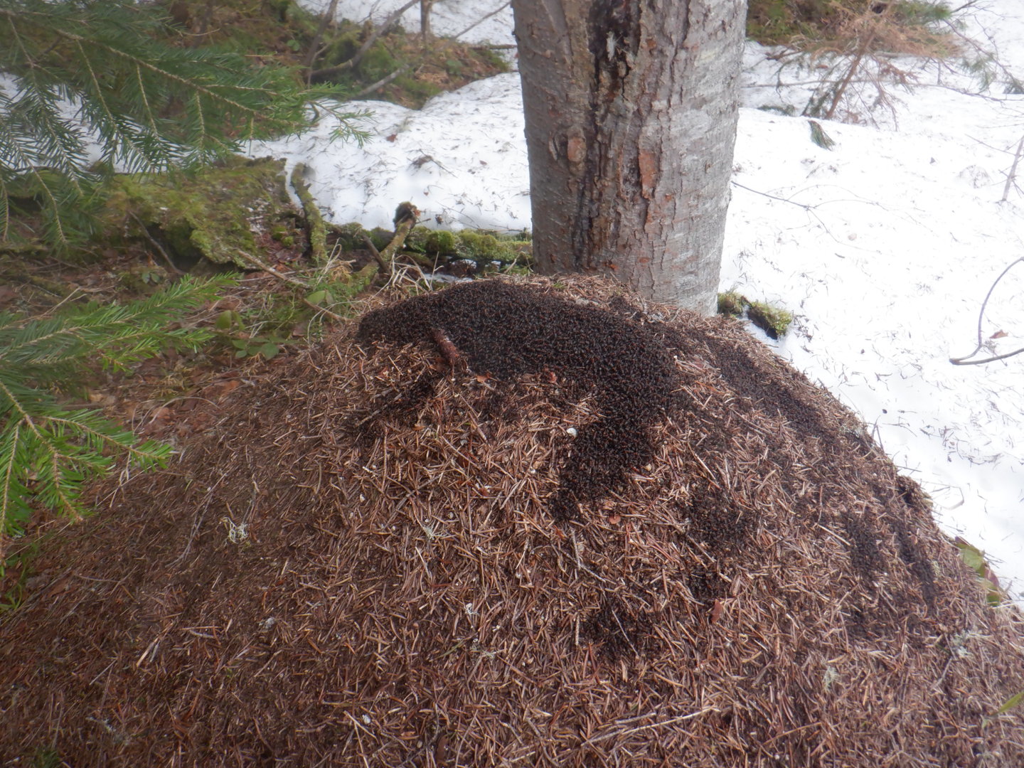 DSCF7948.JPG