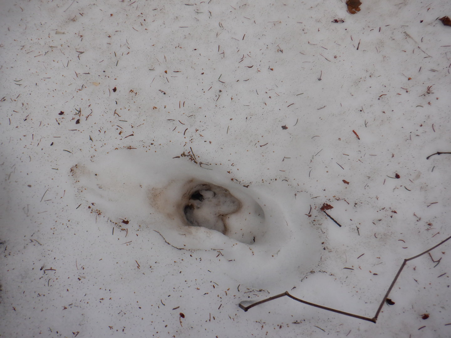 DSCF7952.JPG