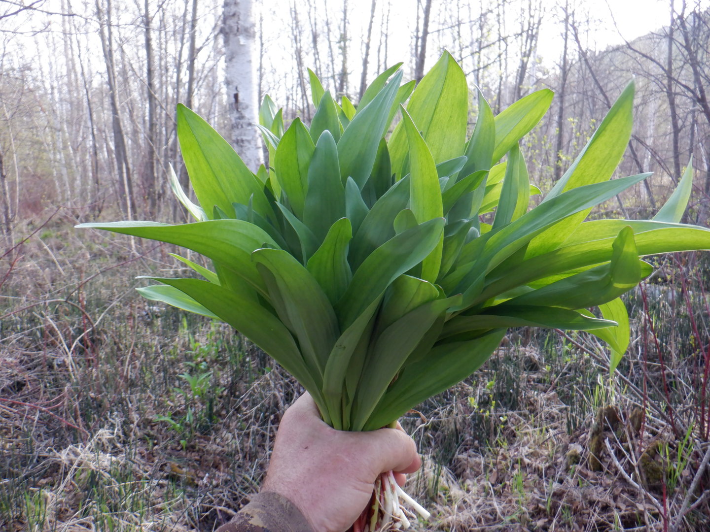DSCF7961.JPG