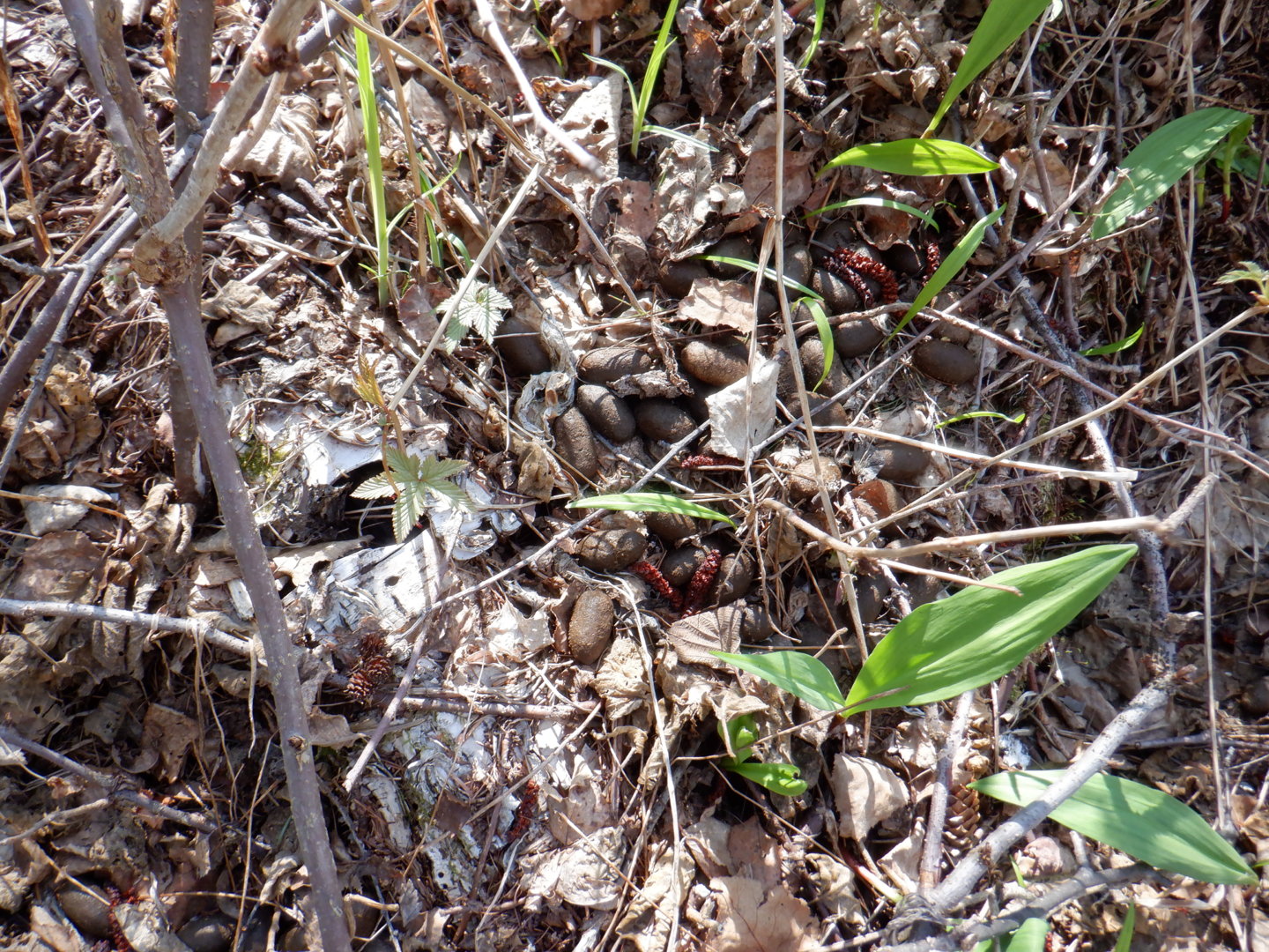 DSCF7970.JPG