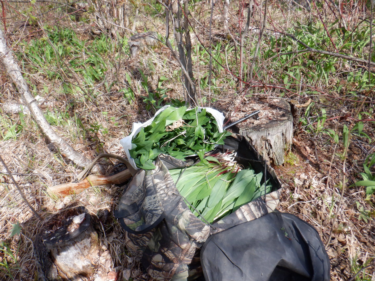 DSCF7973.JPG