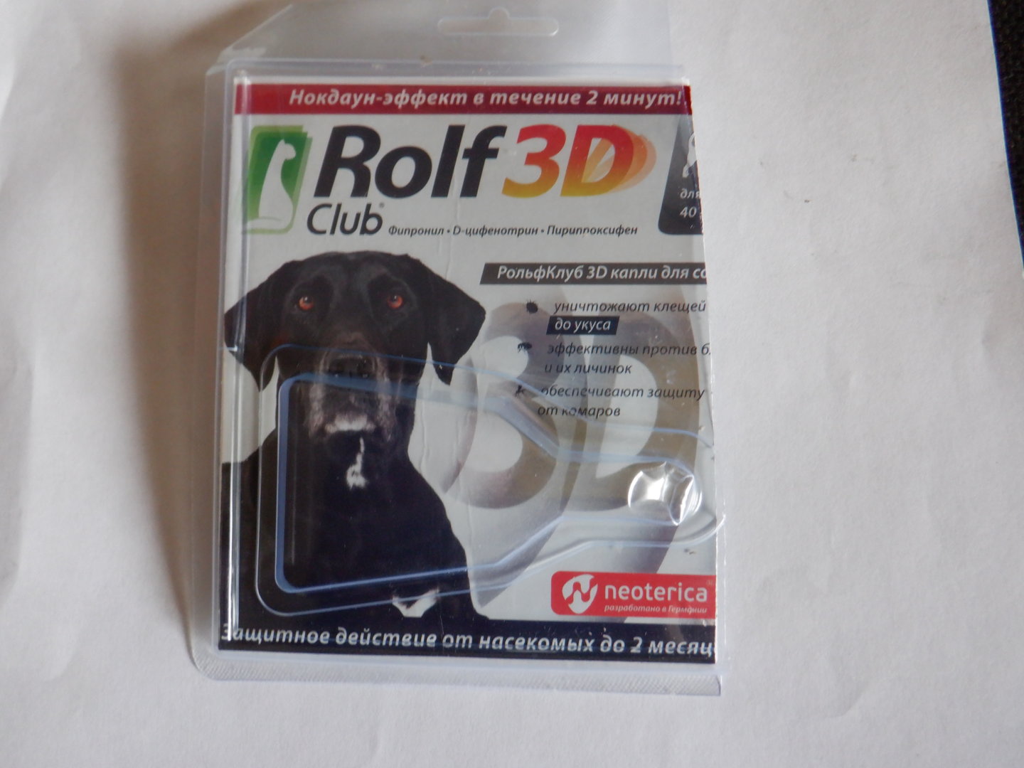 DSCF7978.JPG
