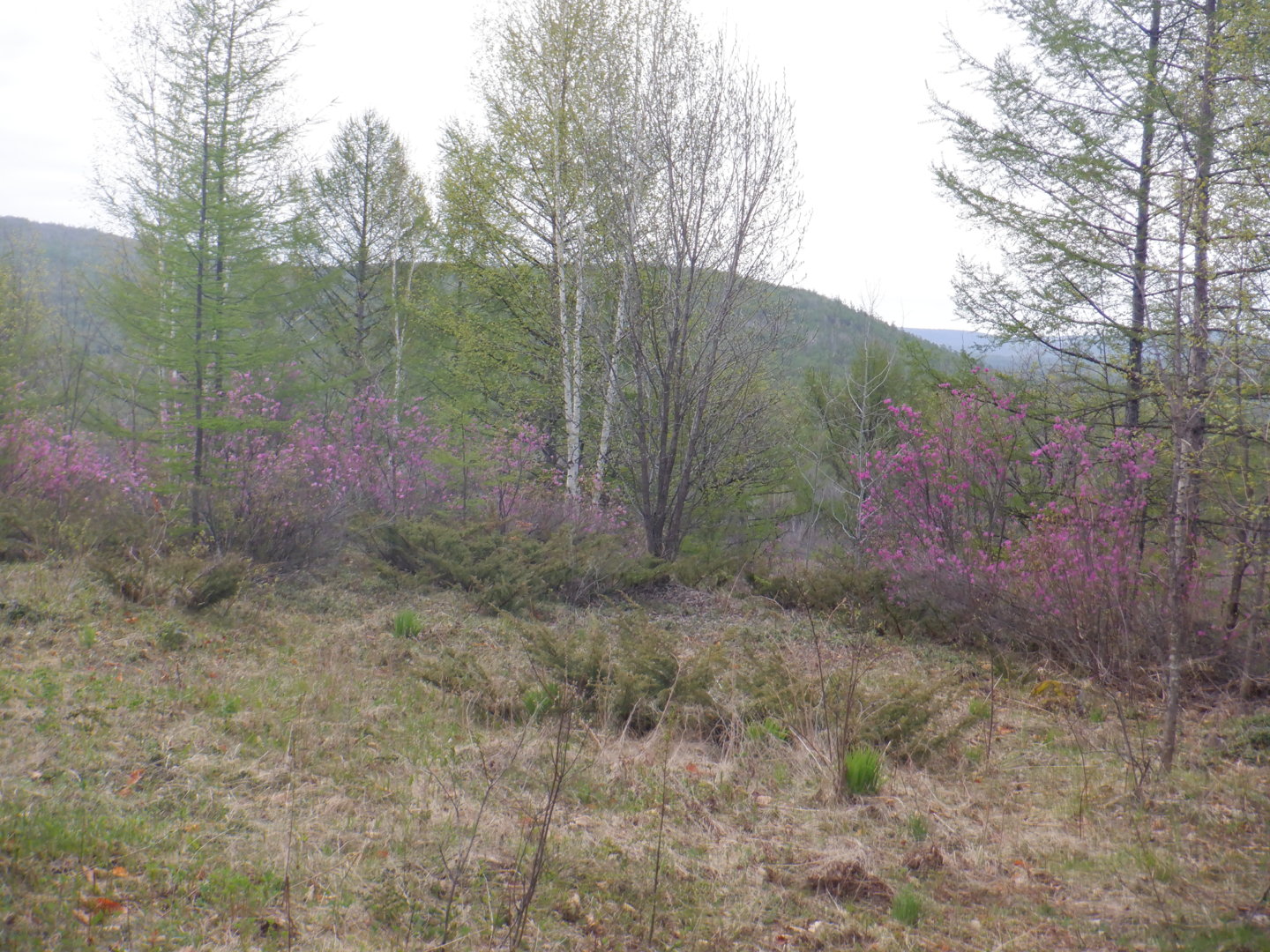 DSCF7990.JPG