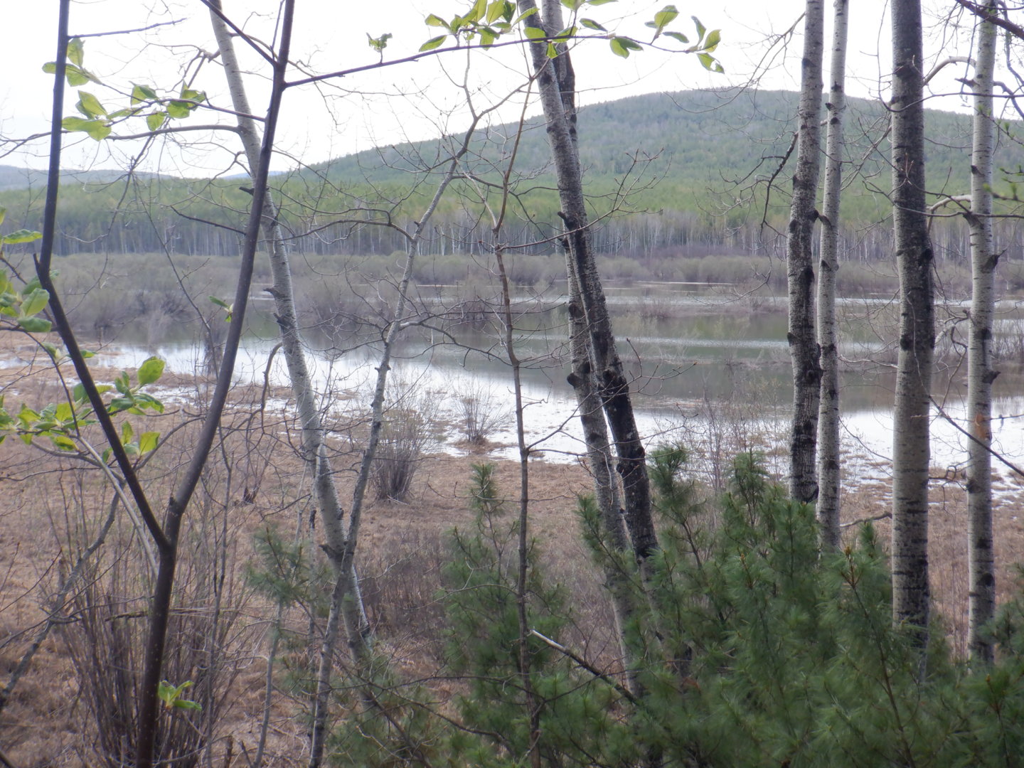 DSCF7991.JPG