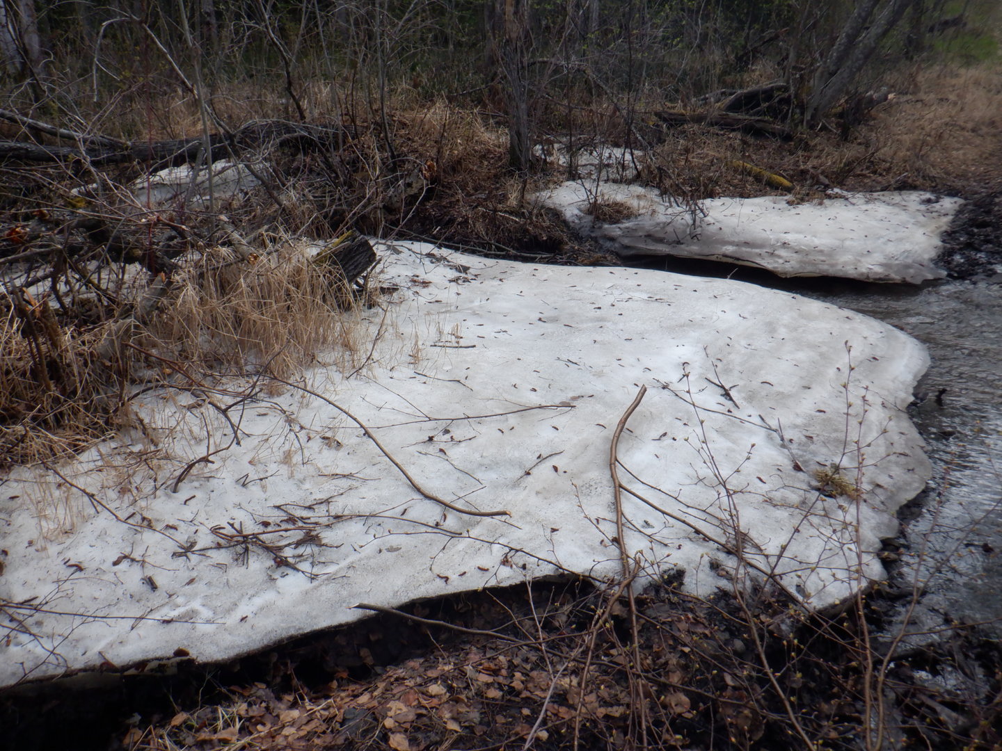 DSCF7992.JPG