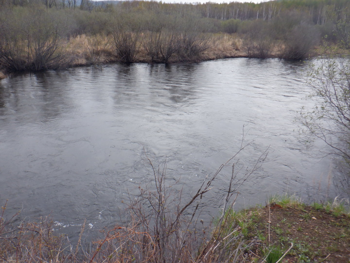 DSCF7994.JPG