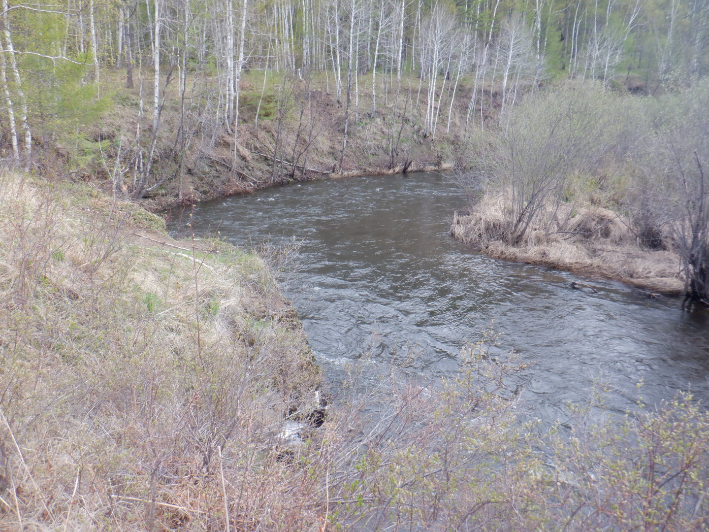 DSCF7995.JPG