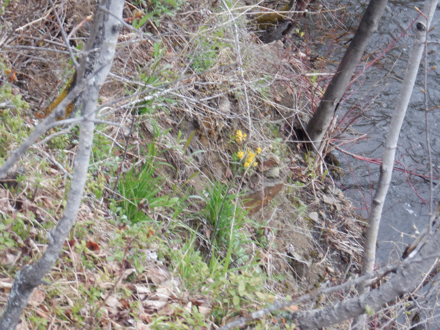 DSCF7996.JPG