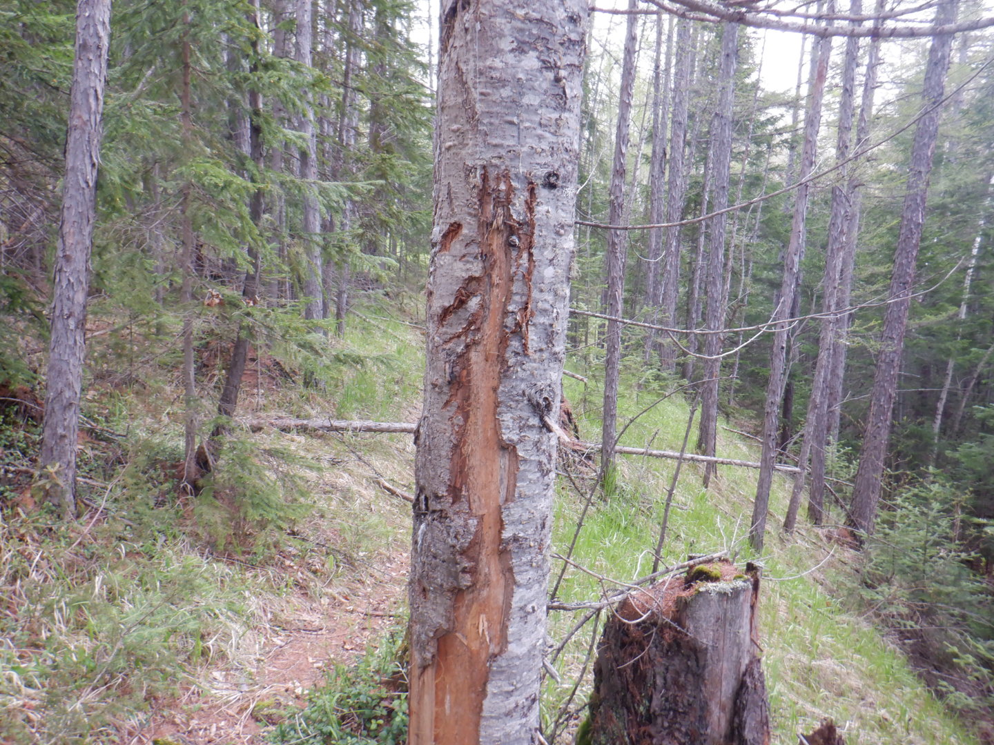 DSCF7998.JPG