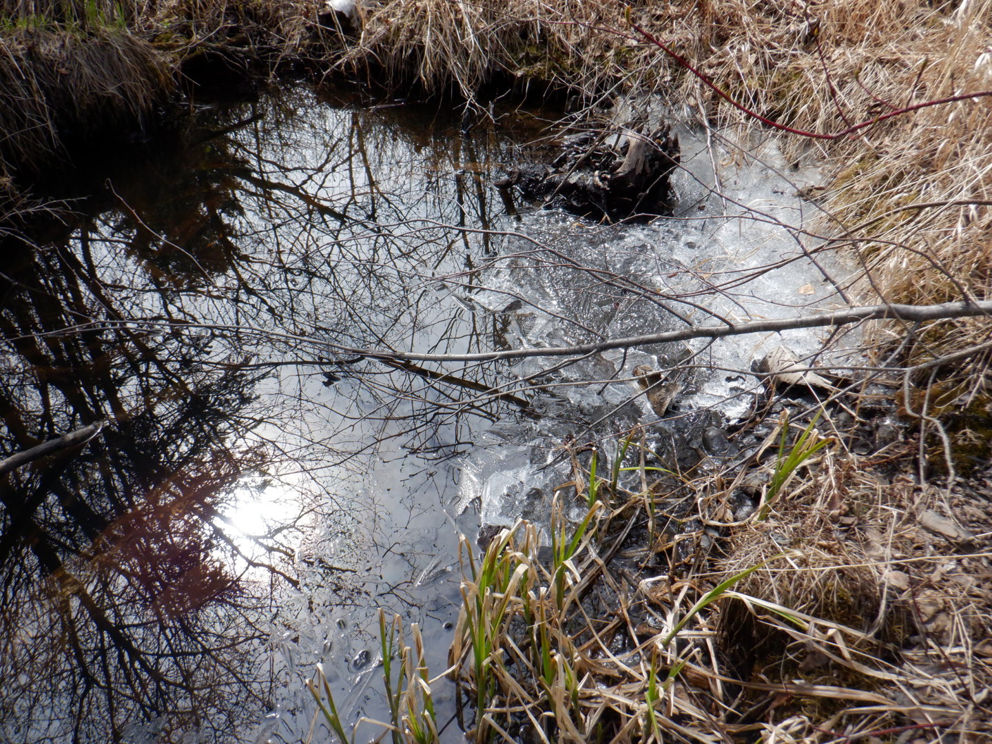 DSCF8010.JPG