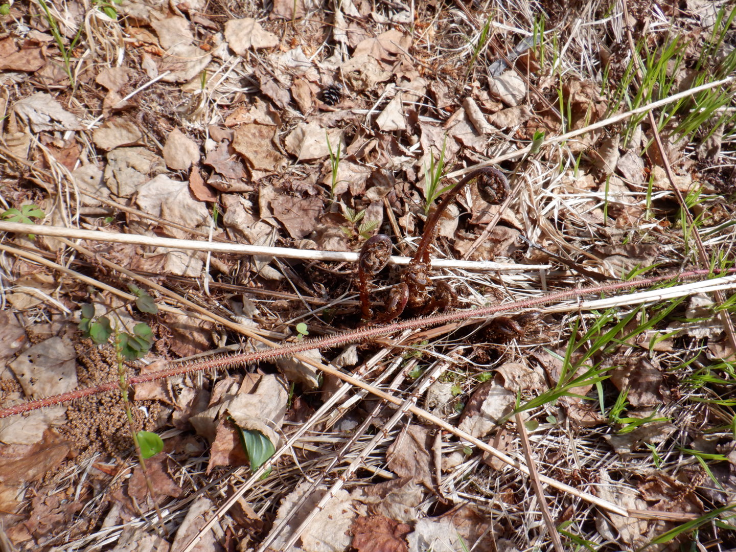 DSCF8011.JPG
